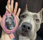 Vintage Scalloped Frame Pet Leather Carving Charm | Custom Dog Portrait Keychain, Hand‑Tooled Pet Memorial Gift 4.72in